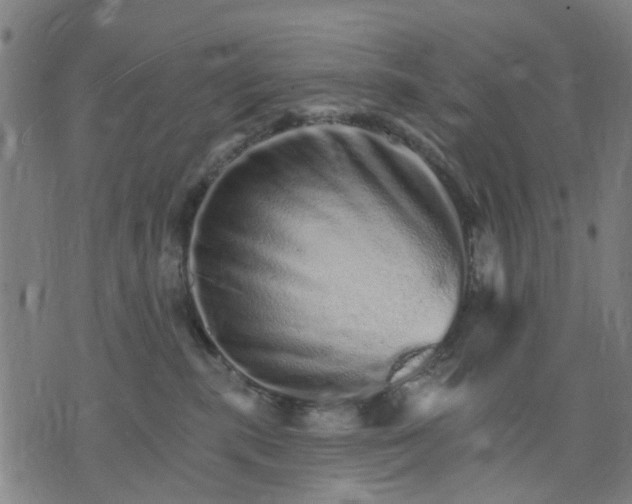 X0000074220283200609081603