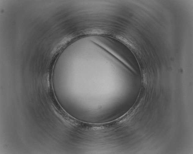 X0000074220302200609081602