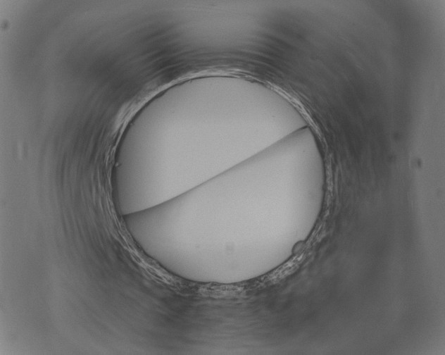 X0000074220337200609081601