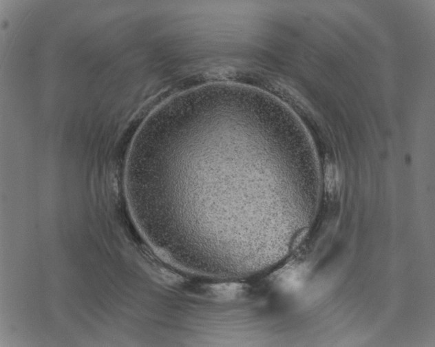 X0000074220363200609081602