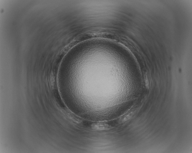 X0000074220372200609081602