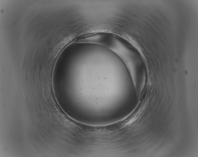X0000074220385200609081601