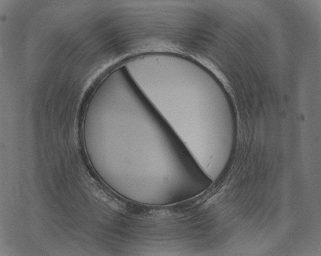 X0000074220391200609081601