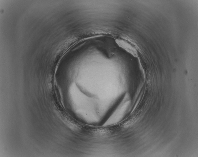 X0000074220402200609081601