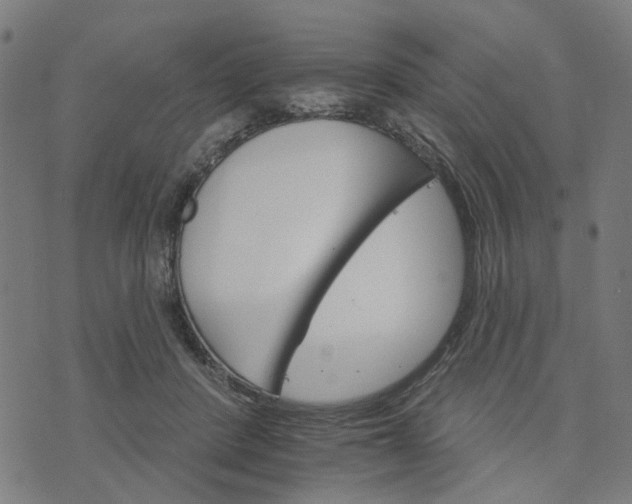 X0000074220408200609081601