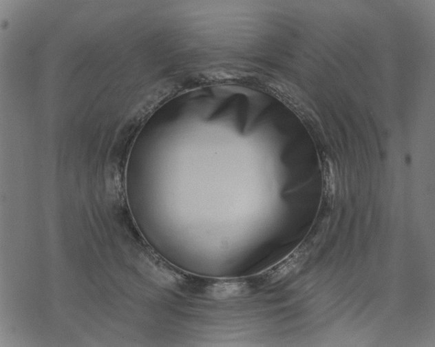 X0000074220418200609081601