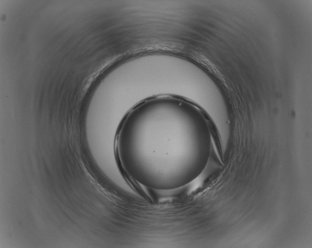 X0000074220444200609081600