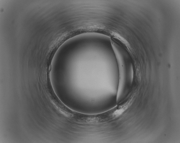 X0000074220493200609081559