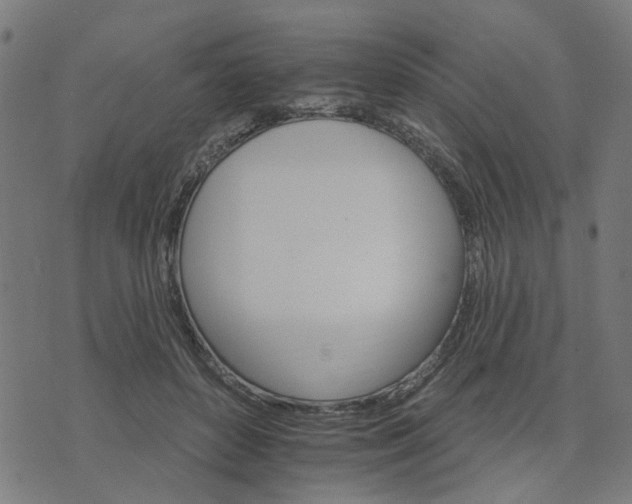 X0000074220504200609081559