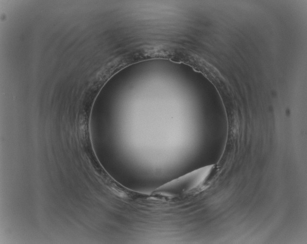X0000074220513200609081559