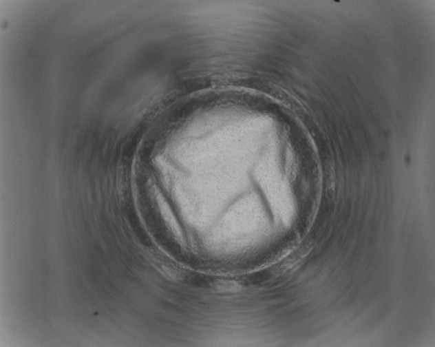 X0000074220519200609081559