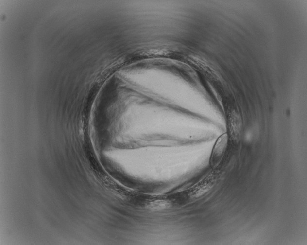 X0000074220551200609081558