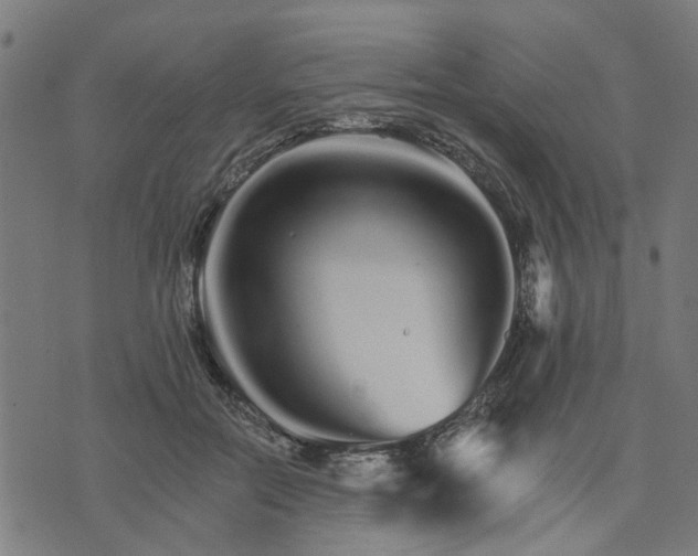 X0000074220554200609081558