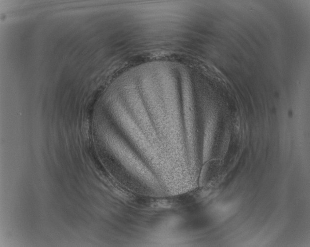 X0000074220565200609081559