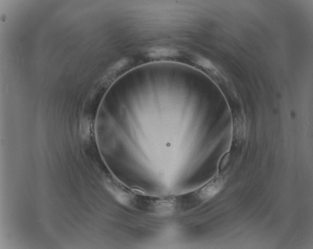 X0000074220574200609081559