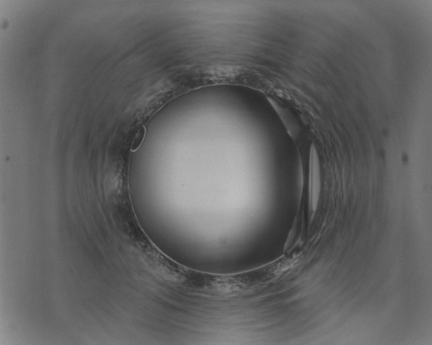 X0000074220608200609081557