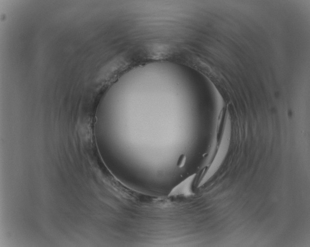 X0000074220620200609081557