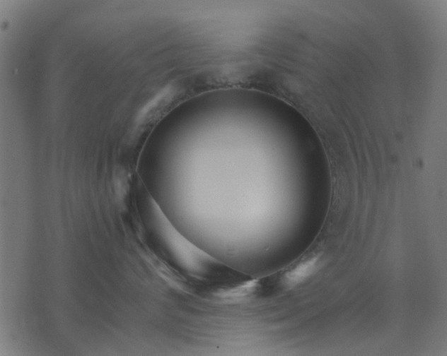 X0000074220624200609081557