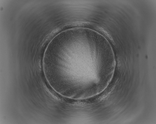 X0000074220633200609081557