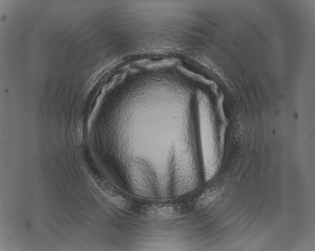 X0000074220640200609081557