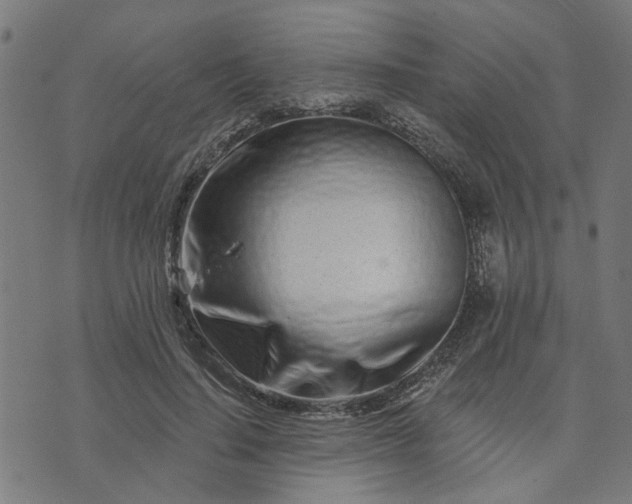 X0000074220644200609081557
