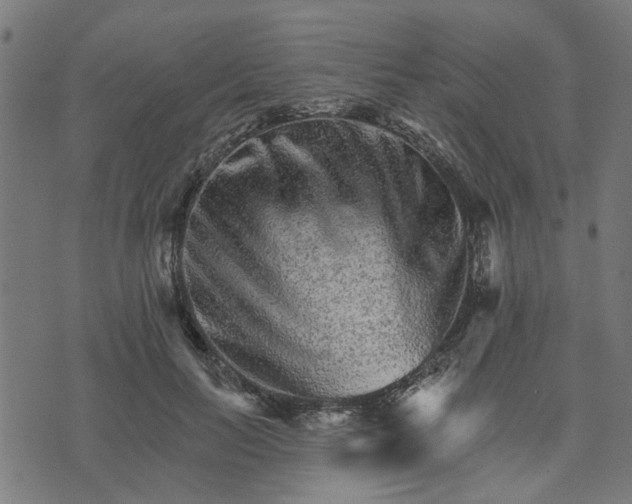 X0000074220647200609081557