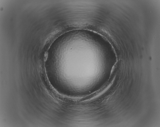 X0000074220688200609081556
