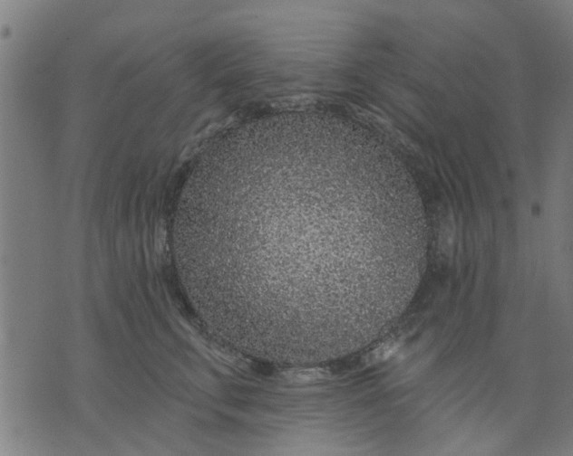 X0000074220711200609081556