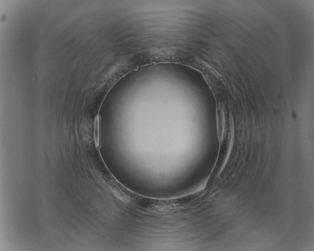 X0000074220712200609081556