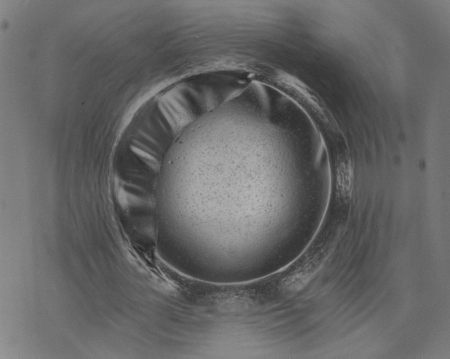 X0000074220724200609081555