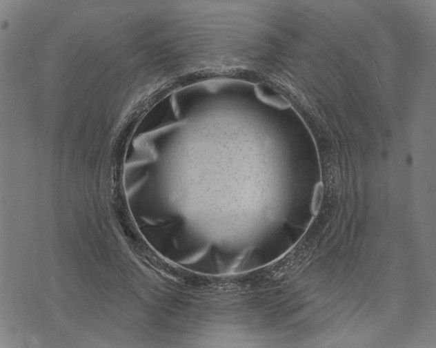 X0000074220736200609081555
