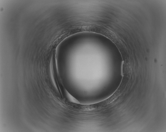 X0000074220750200609081555
