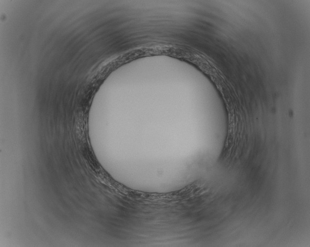 X0000074220773200609081555
