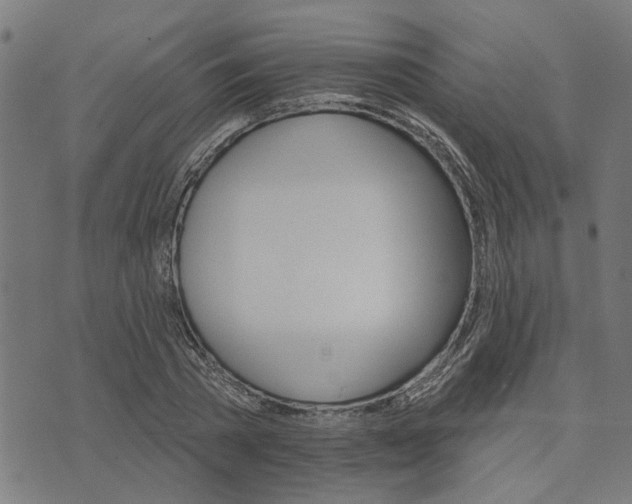 X0000074220785200609081555