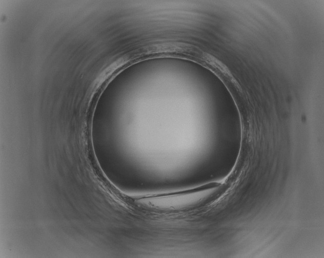 X0000074220786200609081555