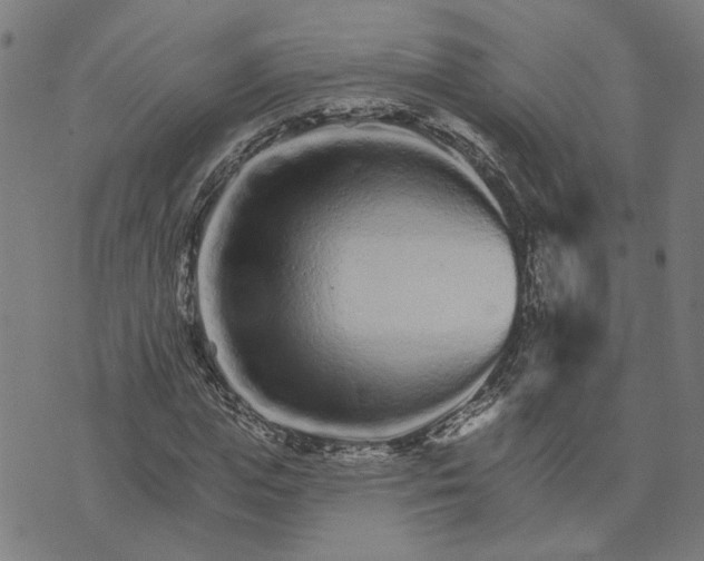 X0000074220823200609081553