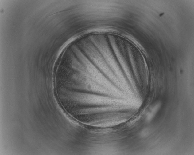 X0000074220853200609081554