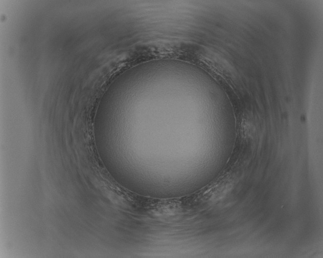 X0000074220865200609081553