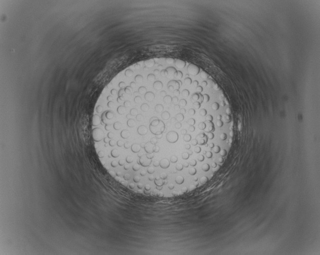 X0000074220867200609081553