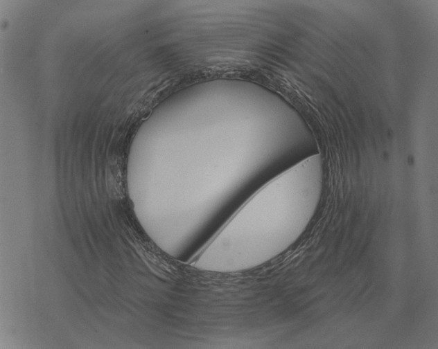 X0000074220868200609081553
