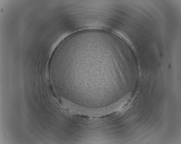 X0000074220883200609081553