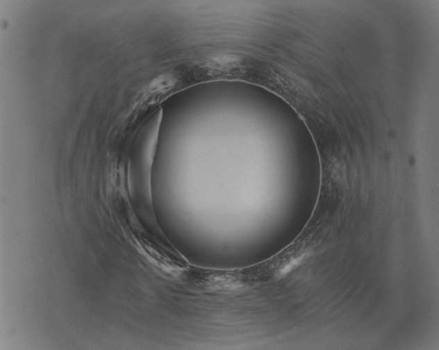 X0000074220914200609081552