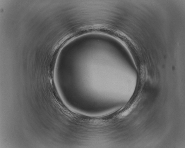 X0000074220921200609081552