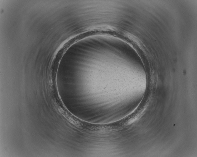 X0000074220923200609081552