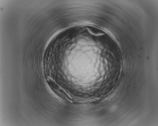 X0000074220947200609081552