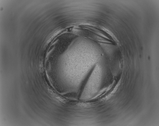 X0000074220977200609081551