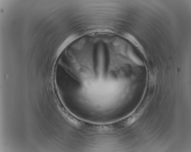 X0000074221002200609081551