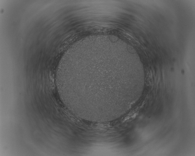 X0000074221013200609081550