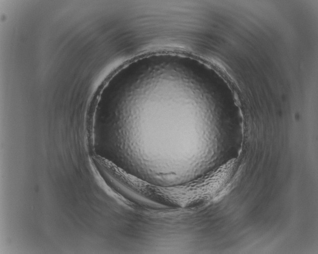 X0000074221038200609081551