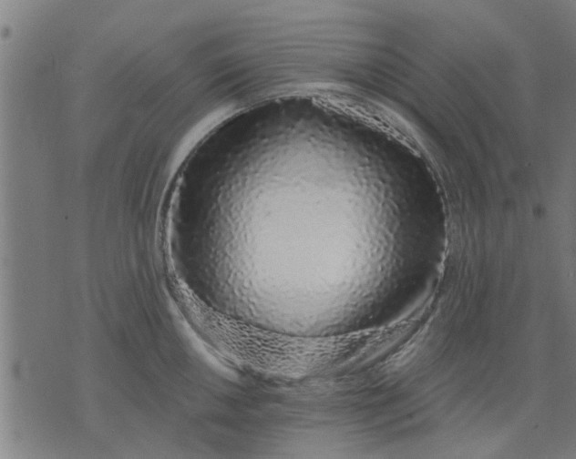X0000074221050200609081551